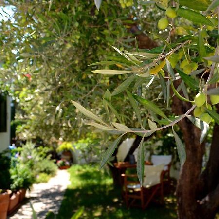 Regina Villa Kalo Chorio  Bagian luar foto