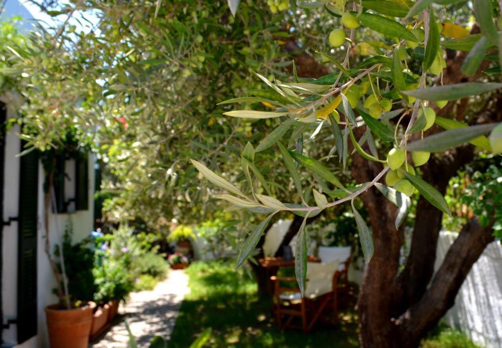 Regina Villa Kalo Chorio  Bagian luar foto